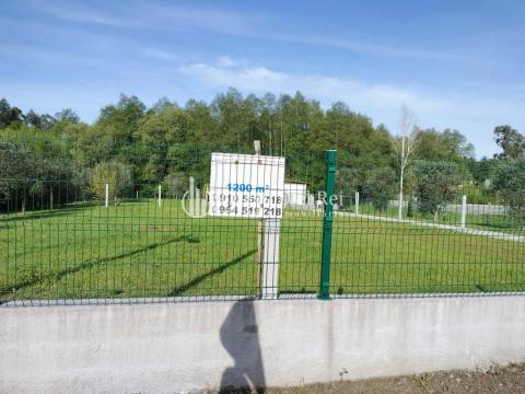 Terreno  Arrendamento em Campo,Viseu