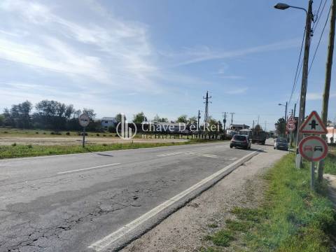 Terreno  Arrendamento em Campo,Viseu