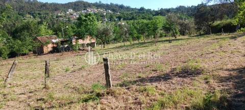 Quintinha  Venda em São Miguel do Mato,Vouzela