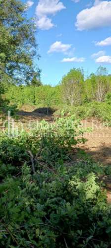 Quintinha  Venda em São Miguel do Mato,Vouzela