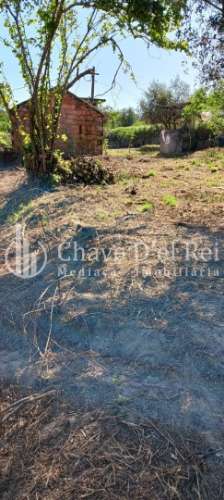 Quintinha  Venda em São Miguel do Mato,Vouzela