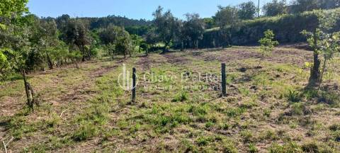Quintinha  Venda em São Miguel do Mato,Vouzela