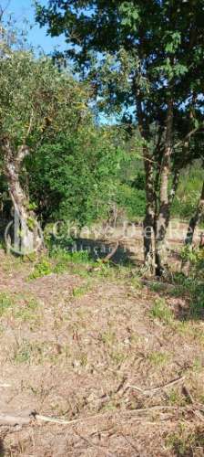 Quintinha  Venda em São Miguel do Mato,Vouzela