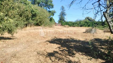 Terreno Para Construção  Venda em Vilar de Besteiros e Mosteiro de Fráguas,Tondela