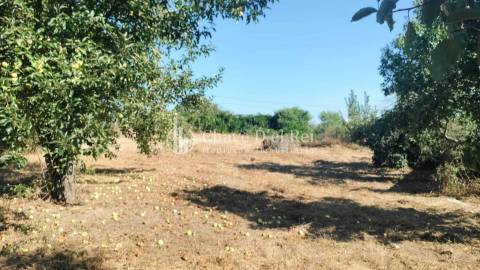 Terreno Para Construção  Venda em Vilar de Besteiros e Mosteiro de Fráguas,Tondela