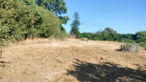 Terreno Para Construção  Venda em Vilar de Besteiros e Mosteiro de Fráguas,Tondela