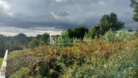 Terreno Para Construção  Venda em Cavernães,Viseu