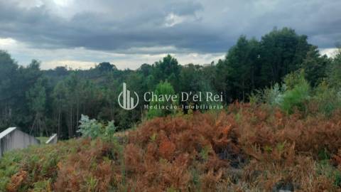 Terreno Para Construção  Venda em Cavernães,Viseu