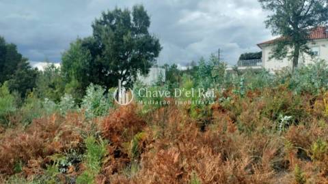 Terreno Para Construção  Venda em Cavernães,Viseu