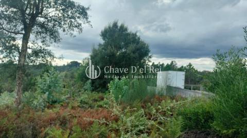 Terreno Para Construção  Venda em Cavernães,Viseu
