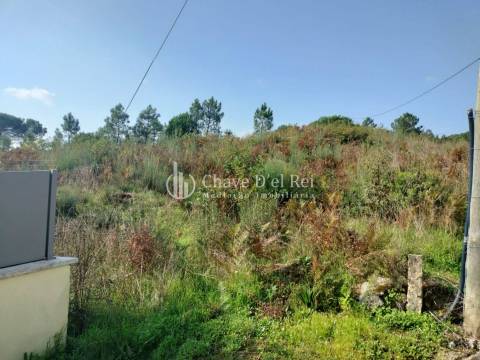 Terreno Para Construção  Venda em São João de Lourosa,Viseu