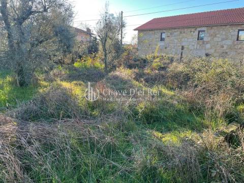Lote de Terreno  Venda em Campo,Viseu