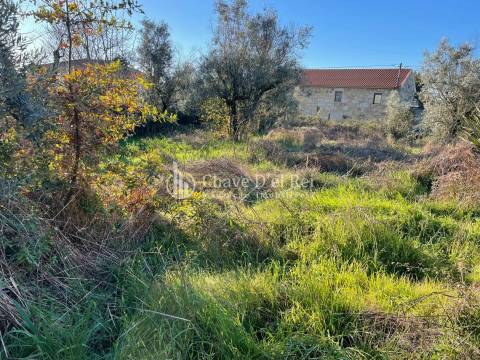 Lote de Terreno  Venda em Campo,Viseu