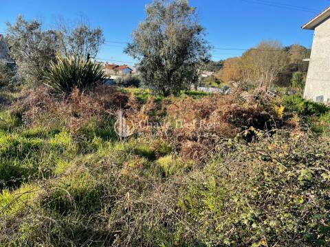 Lote de Terreno  Venda em Campo,Viseu