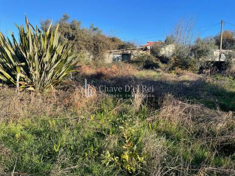Lote de Terreno  Venda em Campo,Viseu