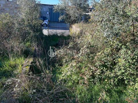 Lote de Terreno  Venda em Campo,Viseu