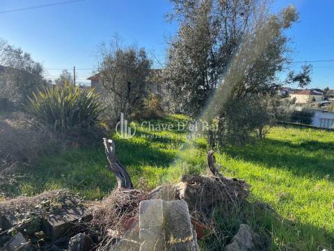Lote de Terreno  Venda em Campo,Viseu