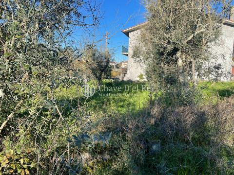 Lote de Terreno  Venda em Campo,Viseu