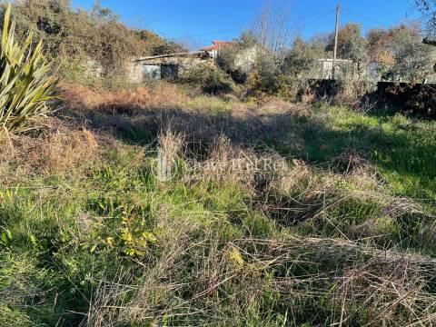 Lote de Terreno  Venda em Campo,Viseu