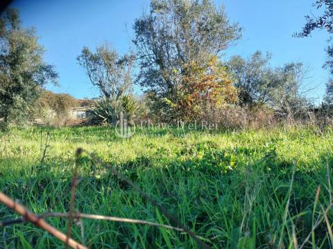 Lote de Terreno  Venda em Campo,Viseu