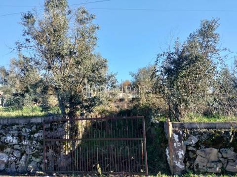 Lote de Terreno  Venda em Campo,Viseu