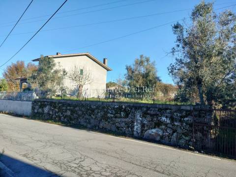 Lote de Terreno  Venda em Campo,Viseu