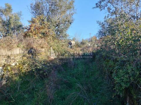 Lote de Terreno  Venda em Campo,Viseu