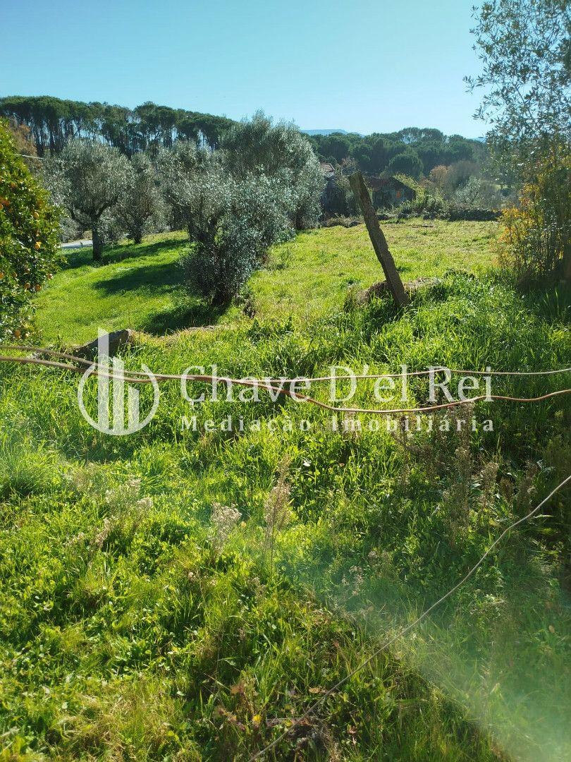 Quintinha T3 Venda em Espinho,Mangualde