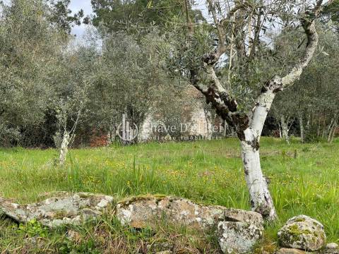 Terreno Misto  Venda em Espinho,Mangualde
