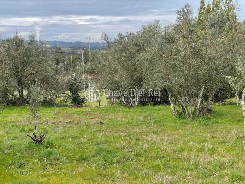 Terreno Misto  Venda em Espinho,Mangualde