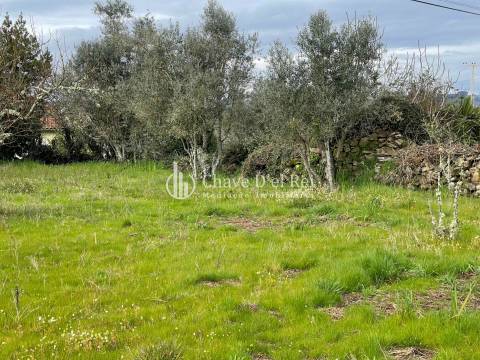 Terreno Misto  Venda em Espinho,Mangualde