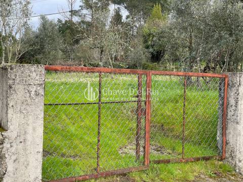 Terreno Misto  Venda em Espinho,Mangualde