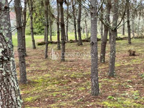 Terreno Misto  Venda em Espinho,Mangualde