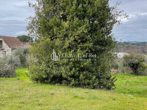 Terreno Misto  Venda em Espinho,Mangualde
