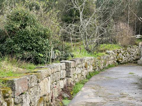 Terreno Misto  Venda em Espinho,Mangualde