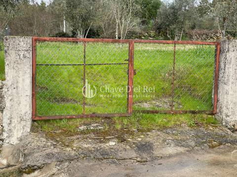 Terreno Misto  Venda em Espinho,Mangualde