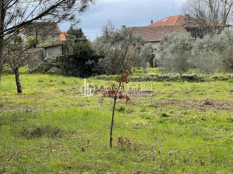 Terreno Misto  Venda em Espinho,Mangualde