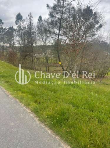 Terreno Misto  Venda em São Miguel do Mato,Vouzela