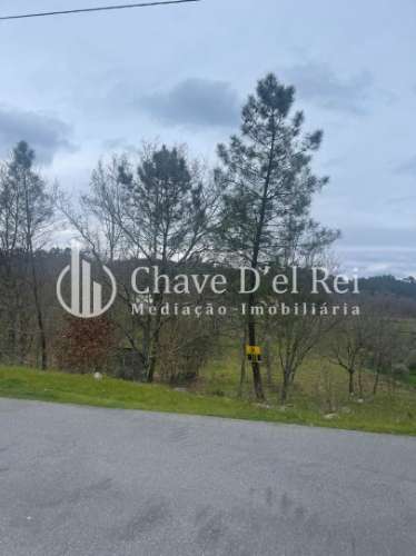 Terreno Misto  Venda em São Miguel do Mato,Vouzela