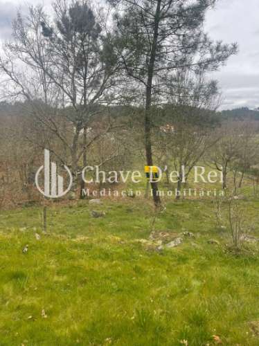 Terreno Misto  Venda em São Miguel do Mato,Vouzela