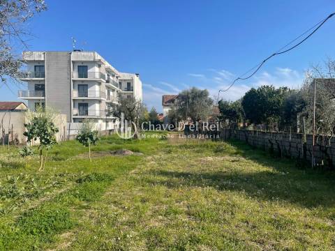 Moradia Isolada T3 Venda em Canas de Senhorim,Nelas