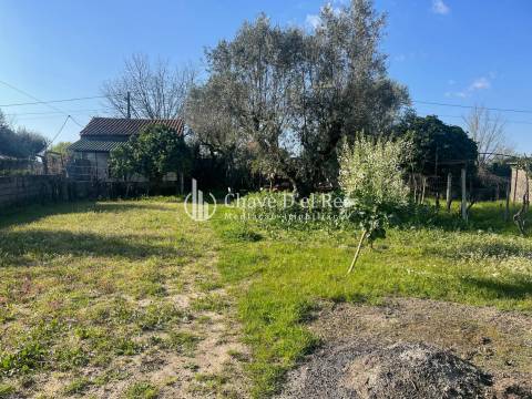 Moradia Isolada T3 Venda em Canas de Senhorim,Nelas