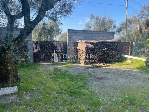 Moradia Isolada T3 Venda em Canas de Senhorim,Nelas