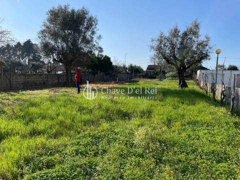 Moradia Isolada T3 Venda em Canas de Senhorim,Nelas