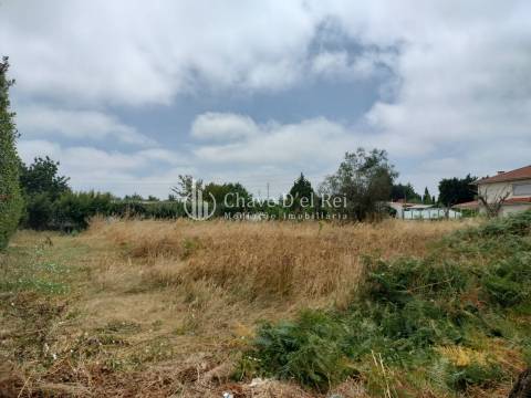 Terreno Para Construção  Venda em Rio de Loba,Viseu