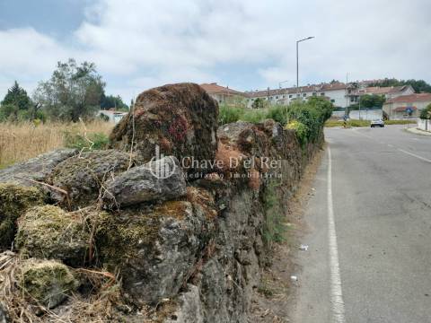 Terreno Para Construção  Venda em Rio de Loba,Viseu