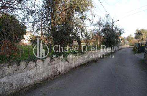Terreno Rústico  Venda em Rio de Loba,Viseu