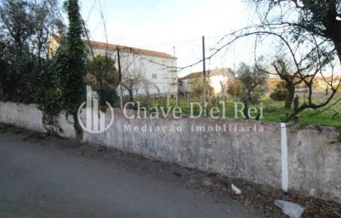 Terreno Rústico  Venda em Rio de Loba,Viseu