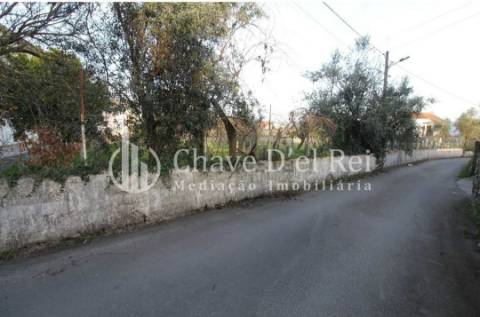 Terreno Rústico  Venda em Rio de Loba,Viseu