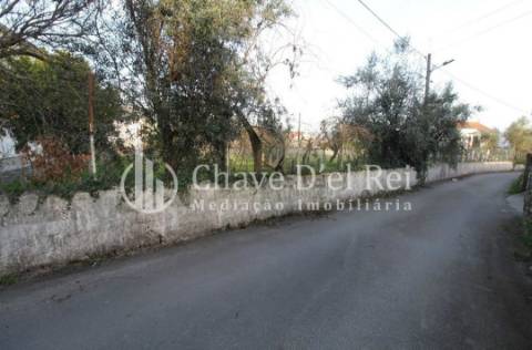 Terreno Rústico  Venda em Rio de Loba,Viseu